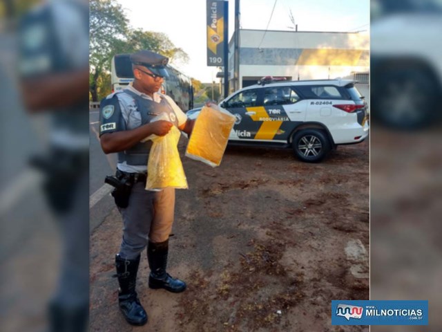 A mulher trazia dois invólucros presos ao corpo por fita adesiva, contendo aproximadamente 3 kg de pasta base de cocaína. Foto: DIVULGAÇÃO/PMRv