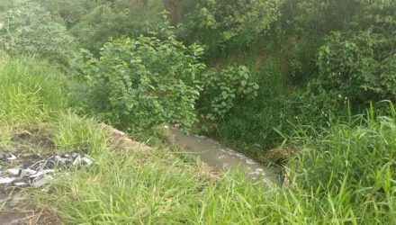 Córrego onde corpo foi encontrado em Itaquaquecetuba fica no Parque Piratininga — Foto: Nunes/Guarda Municipal de Itaquaquecetuba.