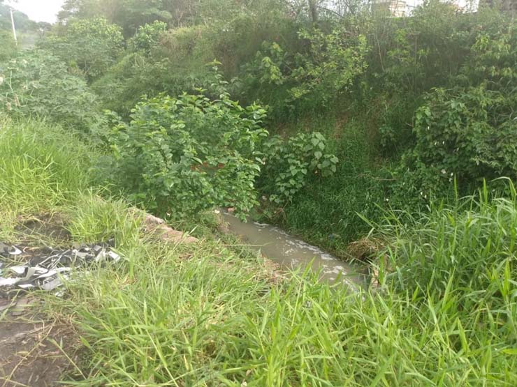Córrego onde corpo foi encontrado em Itaquaquecetuba fica no Parque Piratininga — Foto: Nunes/Guarda Municipal de Itaquaquecetuba.