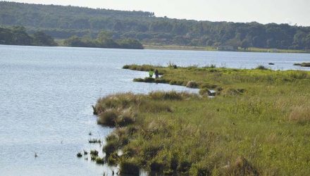 Vítima se afogou no Grande Lago em Paraguaçu Paulista — Foto: I7 Notícias / Divulgação.