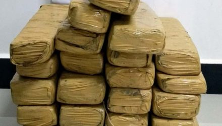 Homem é preso ao ser flagrado com tijolos de maconha em ônibus, em Avaré — Foto: Polícia Rodoviária/Divulgação.