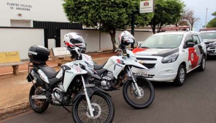 Dois dos presos foram recolhidos diretamente na carceragem do plantão policial, até serem encaminhados também à cadeia de Ilha Solteira. Foto: MANOEL MESSIAS/Agência