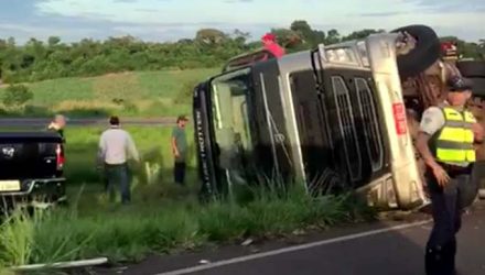 Caminhão carregado com bois tomba em rodovia de Sales — Foto: Arquivo Pessoal