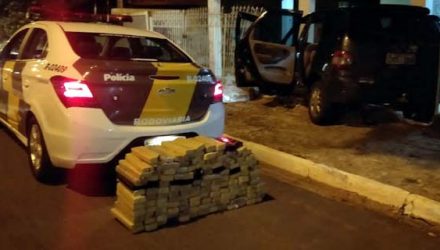 Homem é preso ao ser flagrado com 144 tabletes de maconha em rodovia de Rubiácea — Foto: Divulgação/Polícia Rodoviária