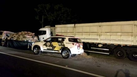 Maconha apreendida em Santa Cruz do Rio Pardo estava escondida em meio a 30 toneladas de milho — Foto: Polícia Rodoviária/Divulgação