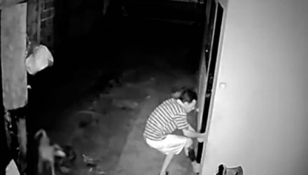 Imagens de câmeras de segurança flagraram o acusado arrombando a portas da residência para praticar o furto. Foto: REPRODUÇÃO