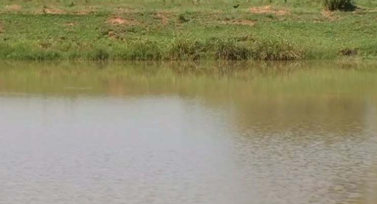 Jovem morre afogado em tanque de área particular em Pereiras — Foto: Reprodução/TV TEM.