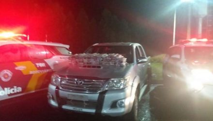 Tijolos de maconha foram apreendidos em Avaí — Foto: Polícia Rodoviária / Divulgação.