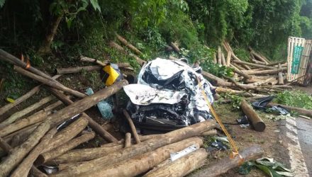 Carro foi destruído pelo impacto das toras de madeira que caíram do caminhão em Botucatu — Foto: Corpo de Bombeiros/Divulgação.