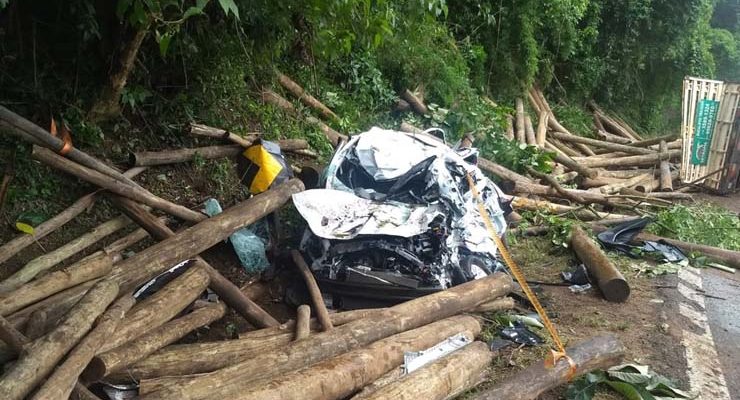 Carro foi destruído pelo impacto das toras de madeira que caíram do caminhão em Botucatu — Foto: Corpo de Bombeiros/Divulgação.