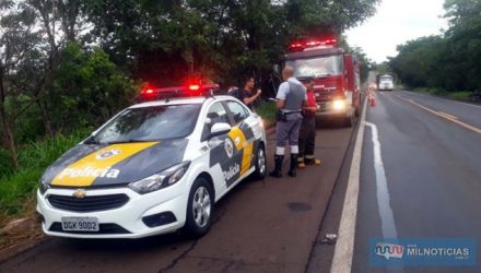 Policiamento rodoviário registrou a ocorrência de acidente de trânsito sem vítima. Foto: MANOEL MESSIAS/Agência