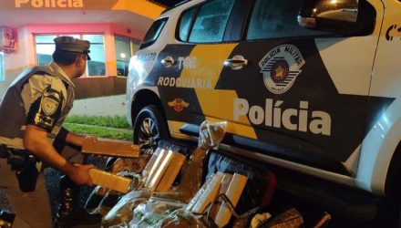 Polícia apreende maconha e skank com passageiras de ônibus em Assis — Foto: Polícia Rodoviária/Divulgação.