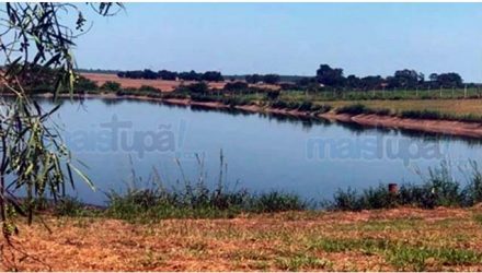 Feto com aproximadamente 20 cm foi encontrado em lagoa de tratamento. Foto: Maistupa