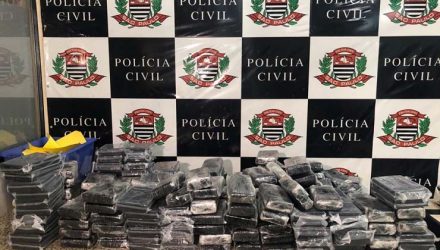 Denarc apreende 205 quilos de drogas no Jardim Planalto, em Suzano — Foto: Polícia Civil/Divulgação.