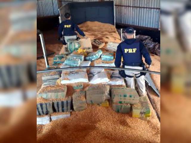 O motorista, a carreta e a maconha, foram encaminhados para a Delegacia de Polícia Civil de Rio Brilhante, para às providências cabíveis. Foto: PRF/DIVULGAÇÃO