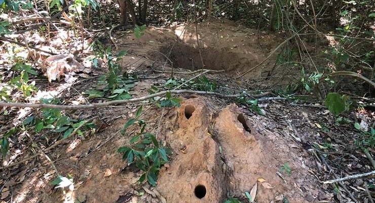 Local onde suspeita enterrou a própria filha em cidade de MS — Foto: Polícia Civil/Divulgação.