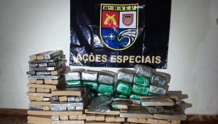 Mais de 200 quilos de drogas foram apreendidos em Santo Anastácio — Foto: Polícia Militar.