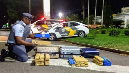 Tijolos de maconha apreendidos pela polícia em Araçatuba — Foto: Divulgação/Polícia.