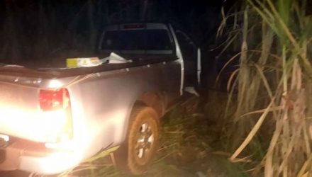 Corpo foi encontrado em caminhonete abandonada em canavial (Foto: Divulgação)