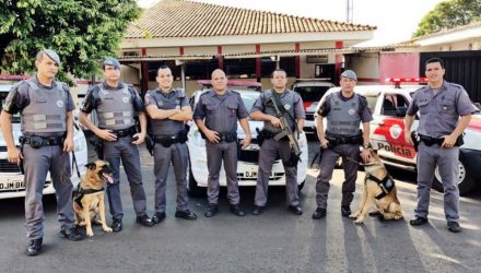 Equipes de Mirandópolis e do Canil da PM de Araçatuba envolvidos na prisão do acusado. Foto: DIVULGAÇÃO/PM