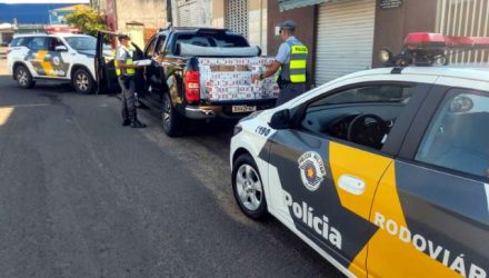 Apreensão aconteceu na manhã de sábado, 02. Foto: DIVULGAÇÃO/TOR