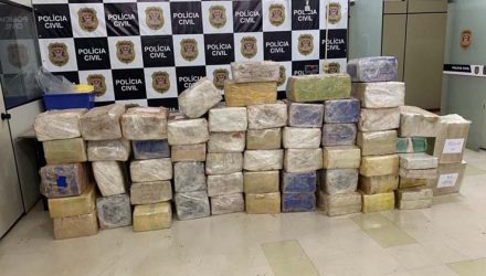 Mais de uma tonelada de maconha é apreendida em rodovia de Quadra — Foto: Divulgação/SSP.