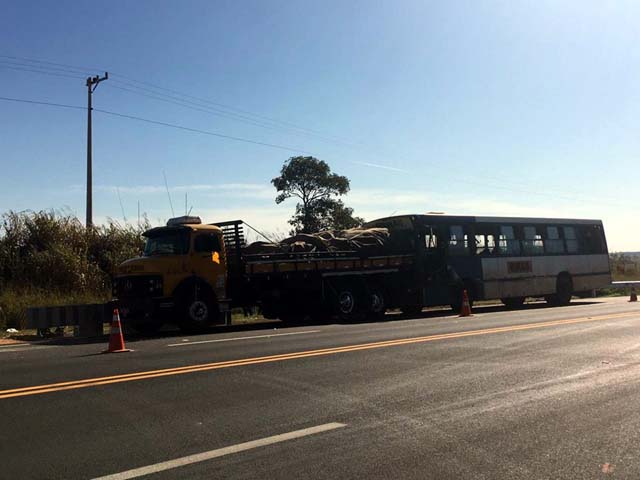 Colisão foi no km 248 entre Cafelândia e Pongaí na Rodovia Leonor Mendes de Barros — Foto: Vanessa Aguiar/TV TEM