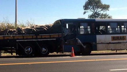 Colisão foi no km 248 entre Cafelândia e Pongaí na Rodovia Leonor Mendes de Barros — Foto: Vanessa Aguiar/TV TEM