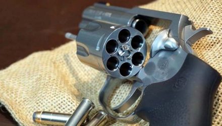 SP tem aumento dos casos de porte ilegal e apreensões de armas. Foto: Pixabay