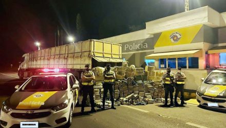Grande quantidade de maconha foi apreendida em Presidente Prudente — Foto: Polícia Rodoviária