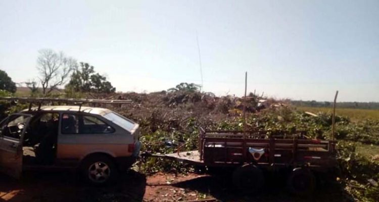 Fotos: DIVULGAÇÃO