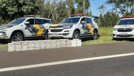 Tabletes somaram 108 quilos de droga na apreensão em Guarantã — Foto: Polícia Rodoviária / Divulgação