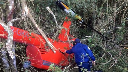 Helicóptero caiu com drogas no interior de SP — Foto: Guarda Civil Municipal