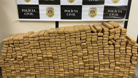 Foto: Polícia Civil