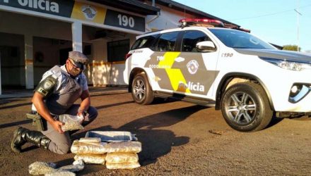 Foram apreendidos 10 pacotes, embalados a vácuo, contendo Skank, a super maconha, que pesou aproximadamente 7,4 KG. Foto: Polícia Rodoviária