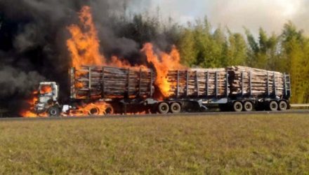 Carreta bitrem carregado com madeira pegou fogo em Avaré. Foto: DIVULGAÇÃO