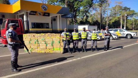 Foram apreendidos 965,700 kg de maconha (1.310 tabletes) em Penápolis,Polícia Rodoviária/ Divulgação