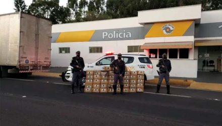Grande quantidade de maconha foi apreendida na SP-270 — Foto: Polícia Rodoviária