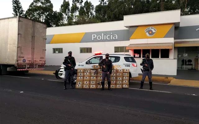 Grande quantidade de maconha foi apreendida na SP-270 — Foto: Polícia Rodoviária