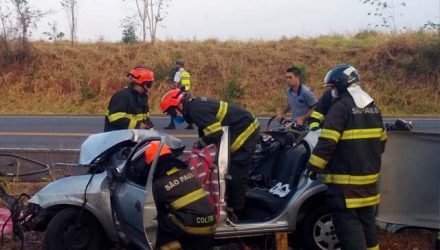 Bombeiros de Andradina e até um de Ilha Solteira ajudaram no socorro à vítima. Foto: DIVULGAÇÃO