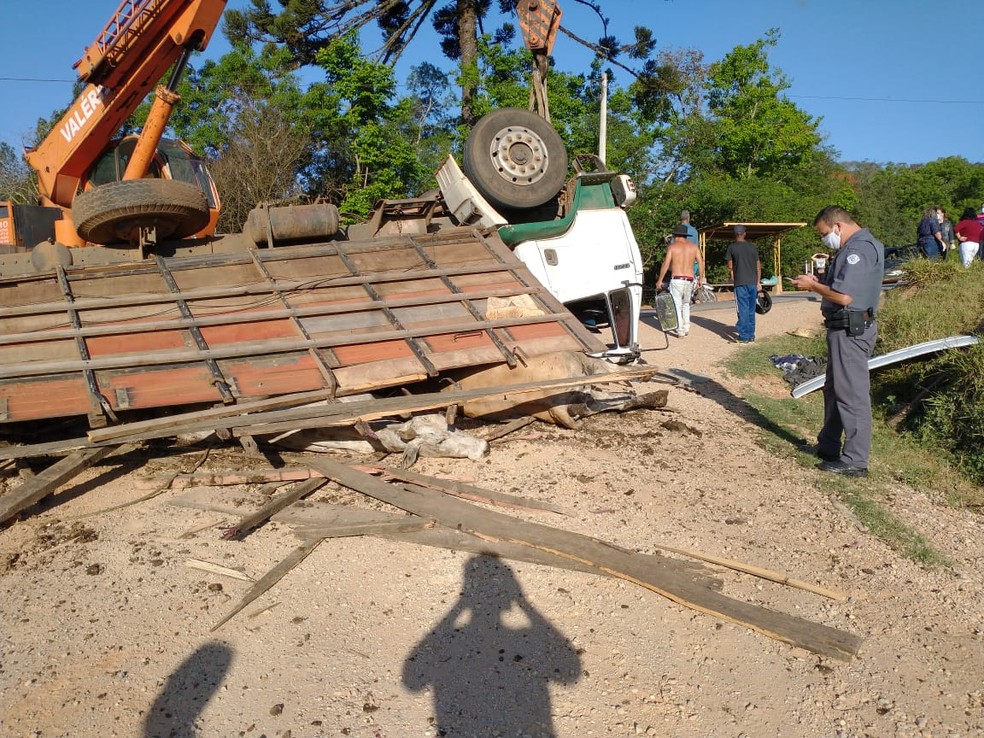 Um homem de 59 anos morreu depois que um caminhão carregado com bois tombou na estrada vicinal. Foto: DIVULGAÇÃO
