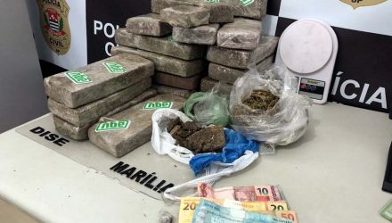 Polícia Civil prende oito em operação de combate à criminalidade no centro-oeste paulista — Foto: Polícia Civil/Divulgação