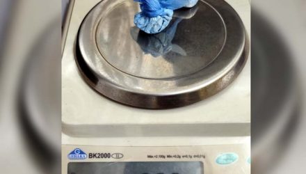 Foram apreendidas duas porções de cocaína com peso total de 9 gramas.  por J. C. L. I., assumiu a posse da droga. Foto: DIVULGAÇÃO/PM