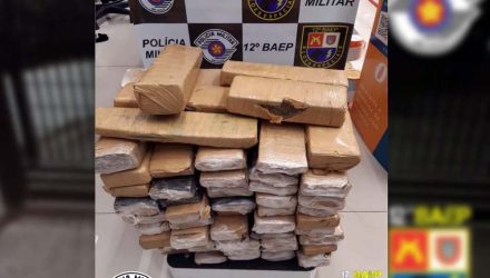 Fotos: DIVULGAÇÃO/PM