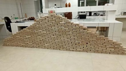 Motorista é preso com 330 kg de cocaína em fundo falso de caminhão em Mato Grosso — Foto: Divulgação.