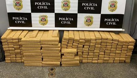 Mais de 250 tabletes de maconha são apreendidos em Presidente Prudente — Foto: Polícia Civil.