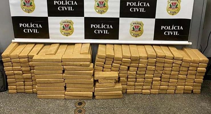 Mais de 250 tabletes de maconha são apreendidos em Presidente Prudente — Foto: Polícia Civil.