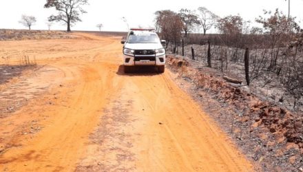 Incêndio em área de preservação na região de Sub Mennucci — Foto: Divulgação/Polícia Ambiental