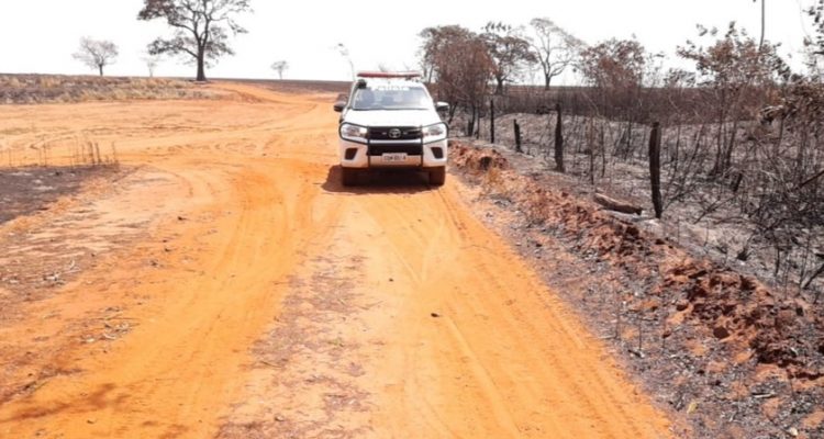 Incêndio em área de preservação na região de Sub Mennucci — Foto: Divulgação/Polícia Ambiental