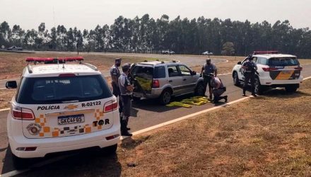 Foto: DIVULGAÇÃO/PMRv